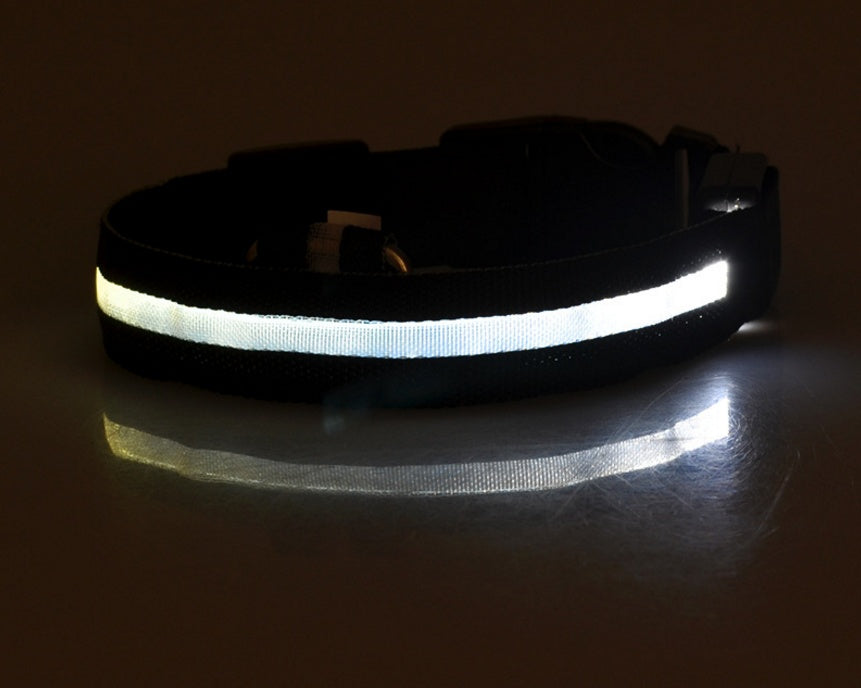 Bright LED Dog Collar for Safe Night Walks