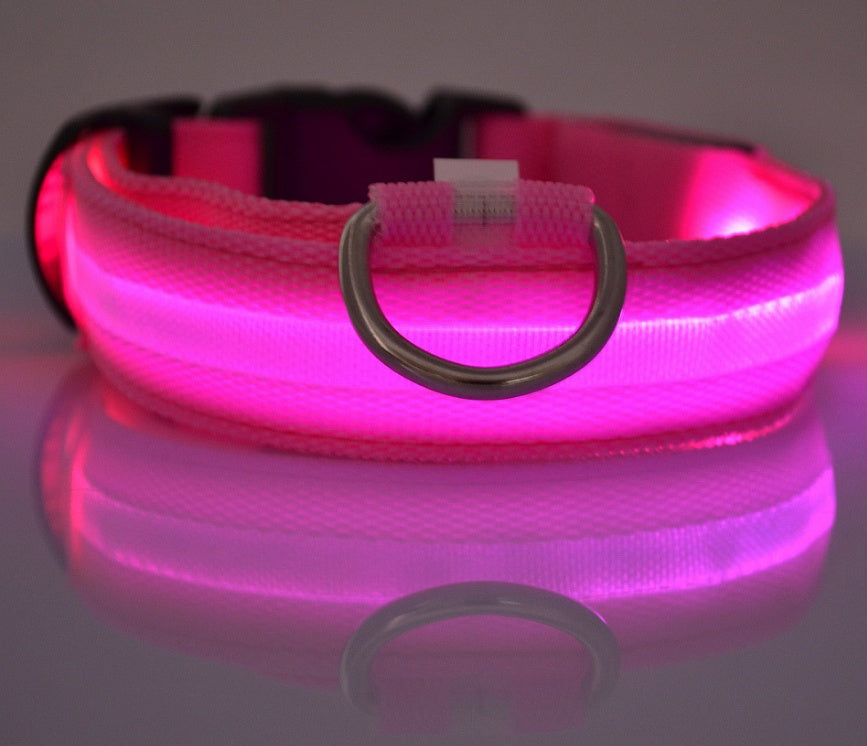 Bright LED Dog Collar for Safe Night Walks