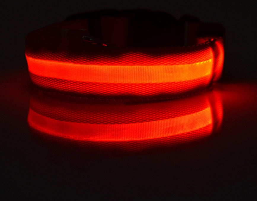 Bright LED Dog Collar for Safe Night Walks
