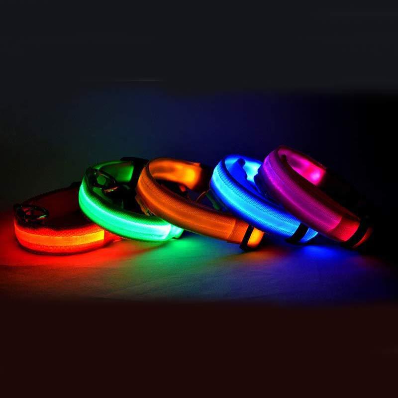 Bright LED Dog Collar for Safe Night Walks