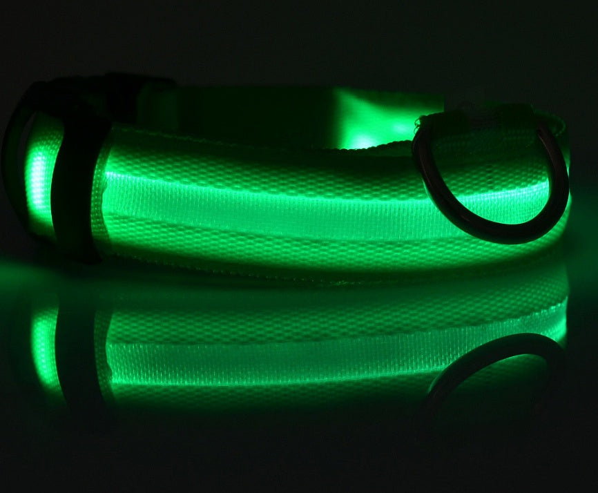 Bright LED Dog Collar for Safe Night Walks