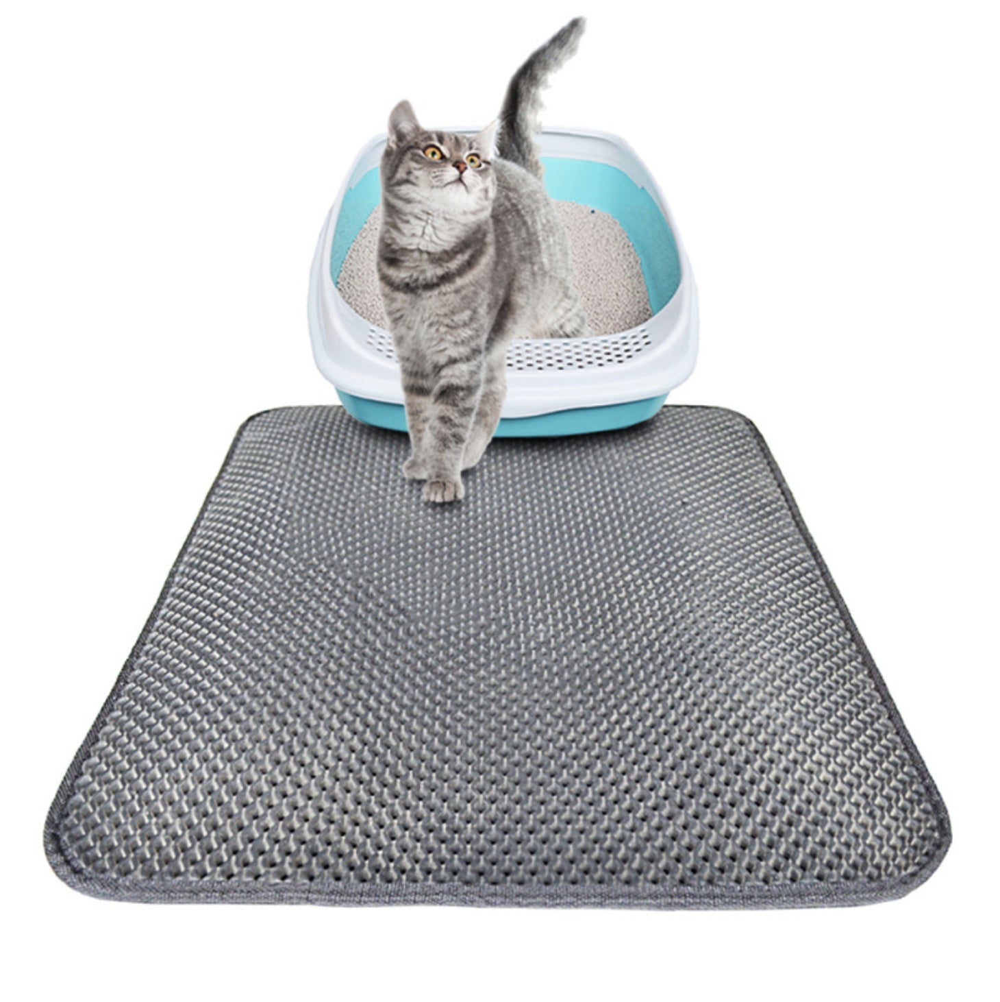 Double-Layer Cat Litter Mat for Cleaner, Comfier Floors