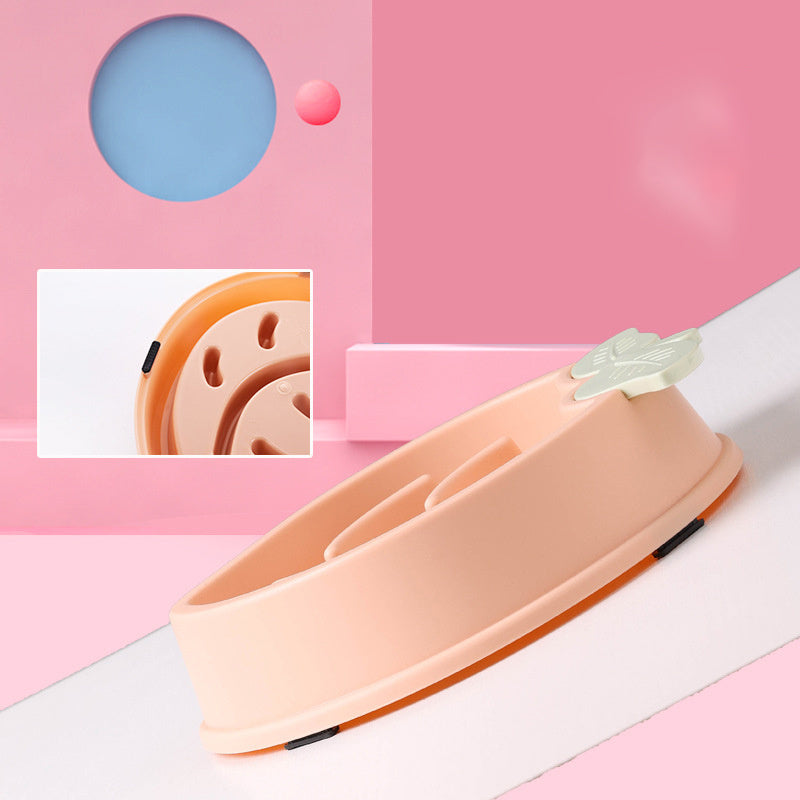 Non-Slip Slow Feeder Dog Dish for Calm Eating